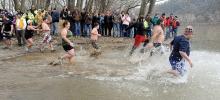 Swimmers taking part in the Catawissa Valley Lions Club Polar Bear Plunge run down the boat launch into the Susquehanna River at the Catawissa Boat Club Wednesday afternoon.