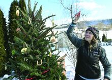 Lisa Ziller hangs food creations on a tree in her back yard in Bloomsburg Monday afternoon while creating a place for birds to eat. 