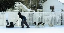Justin Bertollo is followed by his dogs Daisy and Nelson as he pushes a snowblower