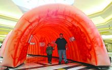Jordan Rinehardt, 5, walks through a large inflatable colon with Michael Rachau, Sunbury, during the Geisinger Health System Wellness Expo Saturday in the Susquehanna Valley Mall in Selinsgrove. Geisinger set up the display to show the importance of colonoscopies for detection of cancer and other illness.