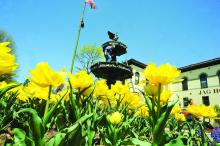 Bloomsburg Town worker John Fritz works on the lights in the second tier of the Bloomsburg Town Fountain Tuesday afternoon. 