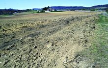 Dead chickens were apparently buried along the edge of this farm field off Monastery Road in Ralpho Township, as seen on Wednesday. The land is owned by Sanjay K Sen and Alakananda Chakrabarty, according to Northumberland County online property records.