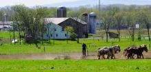 An Amish farmer drives his horse team while tilling a field along Arrowhead Road in Anthony Township Thursday afternoon. 