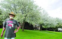 Doug Kelchner stands outside his Lake Road home in Briar Creek Township, alongside several of his eight crabapple trees in full bloom Wednesday afternoon. 