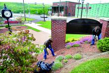 Rose Goresh, left, from the Mayo Funeral Home, and Jocelyn Getty, Campbell Printing, clean flower beds in Saint Charles Park in Berwick on Monday during the first day of the Berwick United Way’s Week of Caring. The Week of Caring continues with more projects planned in Nescopeck Township Park, Briar Creek Lake, Berwick Red Cross, Salvation Army, Beyond Violence, Camp Louise, Test Track Park and Salem Township Park. 