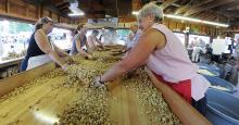 Workers at the 84th Annual Millville Fire Company Carnival move freshly coated caramel corn around on the table, cooling it down and separating the kernels before bagging it.