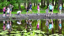 Children attending Danville Area Community Center’s summer day camp, guided by Montour Area Recreation Commission and Vernal School team members, gather at the Montour Preserve pond during a STEM/outdoor ed program on Wednesday. The kids were using nets to scoop out and examine pond life. Other activities during the day at the Preserve included a nature trail hike and a visit to the fossil pit.