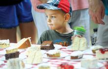 Three-year-old Carter Wood looks over the table of pieces of cake, looking for his favorite Thursday at the annual Ice Cream and Cake Festival at Town Park.