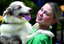 Geisinger milk lab manager Nadine Sharr meets a female Australian shepherd outside Geisinger Medical Center in Danville during a Paws to Reflect gathering on Tuesday.  To participate in the program, dogs and their handlers must complete Geisinger volunteer training and be certified by Therapy Dogs International or a therapy dog certification program recognized by the American Kennel Club. 