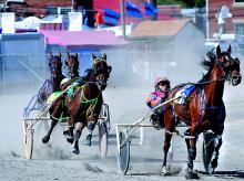 Roger Hammer drives Cebu Hanover in the Bloomsburg Stakes 3-year-old filly race Friday at the Bloomsburg Fair.
