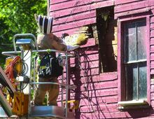 Thomas Adams removes a portion of honeycomb from a hive between the walls of the Red Mill Bargain Barn Thursday.