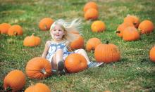 Alexis English, 4, Danville, falls off one of the pumpkins in the Pumpkin Patch at Rohrbach's Farm outside Catawissa Friday afternoon.