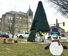 Town worker Kyle Hoffman ducks from under the town's new 18-foot tall Christmas tree while putting it together in front of the New Bloomsburg Diner Tuesday morning. Downtown Bloomsburg Inc. purchased the $12,000 tree through donations. The town pitched in $1,000.