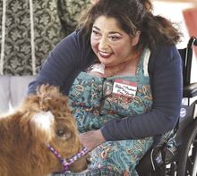 Bloomsburg Fair Free Stage Manager Abby Thomas, above, pets one of the miniature Highland cows to be available for “cow snuggling” during the Bloomsburg Fair this month.