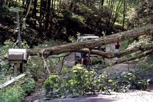 A pickup driven by Lynzie Mull is trapped between a fallen tree and downed utility wires along Longwoods Road at Hilltop Road in Franklin Township on Wednesday. Catawissa firefighters and Locust Township Police came to her aid.