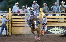 Jake Barnes heads out of the bucking chute for the Saddle Bronc event Thursday night at the Benton Rodeo. The rodeo runs through Sunday.