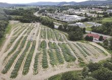 Work on Moore Energy’s solar energy facility is underway, above, off Route 11 near Hopewell Park in Mahoning Township. The work will delay construction on a proposed bicycle pump track until next spring, officials say.