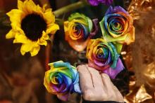 Reeanne Frantz arranges roses for the annual Philadelphia Flower Show at the Pennsylvania Convention Center Philadelphia. The country's largest flower show will feature huge horticultural displays inspired by the work of artists such as Matisse, Mondrian, Calder and Kandinsky. "ARTiculture" is the theme of this year's Philadelphia Flower Show, which runs from March 1 to 9. 